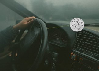 운전자의 건강은 스스로! 차 안에서 해야하는 위생 관리법은?