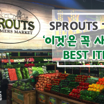 Sprouts_cover