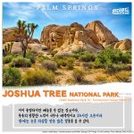 Palm Springs_5