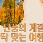 Fall_cover