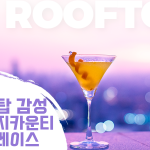 RT_cover
