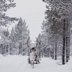 VisitLapland5