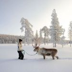 VisitLapland7