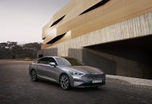 호랑이 모양의 대형 그릴을 장착한 기아의 새 모델은?