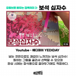 제목을 입력해주세요._003