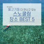 스노쿨 커버