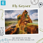 KakaoTalk_Image_2021-11-17-14-23-53_002