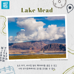 KakaoTalk_Image_2021-11-17-14-23-53_005