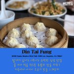 밝은 바탕색 (12)