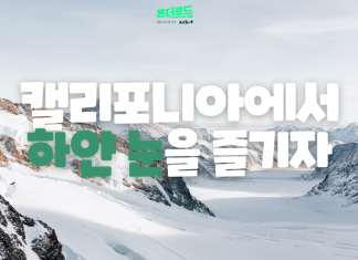 캘리포니아에서 하얀 눈을 즐길 수 있는 겨울감성 여행지 4곳 추천!