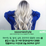 밝은 바탕색 (2)
