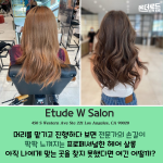 밝은 바탕색 (4)
