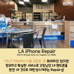 밝은 바탕색
