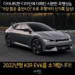 더위-수영-9 (1)
