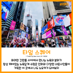 긴 내용 (6)