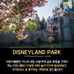긴 내용
