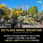 긴 내용 (2)