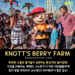 긴 내용 (4)