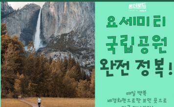 화면으로만 보던 ‘요세미티 국립공원’ 완전 정복하자!