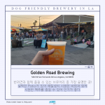 KakaoTalk_Image_2022-07-27-10-26-04_003