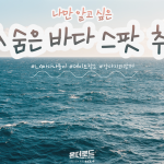 제목을-입력해주세요_-004
