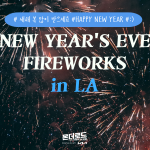 NEW YEAR’S EVE FIREWORKS in LA