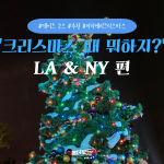 크리스마스 때 뭐하지 LA & NY 편