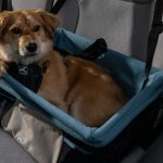 Kurgo-Heather-Dog-Booster-Seat-02-1500×900-1-1024×614