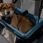 Kurgo-Heather-Dog-Booster-Seat-02-1500×900