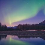 mckayla-crump-3OR-XFzKSBo-unsplash