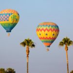 2-palms_2-balloon0_9628d270-5056-b365-ab8d5cc621458f99